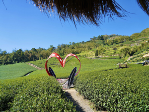 雲霧裡的部落慢旅|嘉義縣部落旅遊節 體驗鄒族山林日常